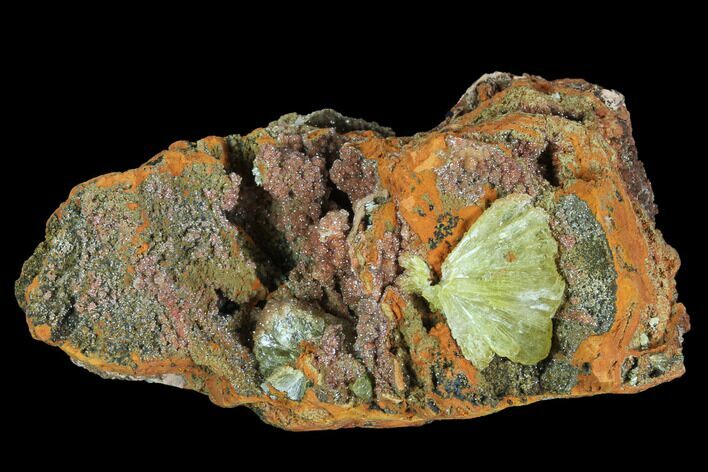 Gemmy, Yellow-Green Adamite Crystals - Durango, Mexico #88876